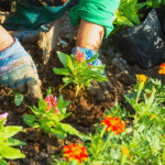 jardinagem ajuda pessoas com TDAH
